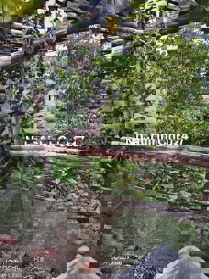 CHÍNH CHỦ BÁN ĐẤT MẶT ĐƯỜNG QL10, YÊN CƯ 4 XÃ YÊN KHÁNH, NINH BÌNH