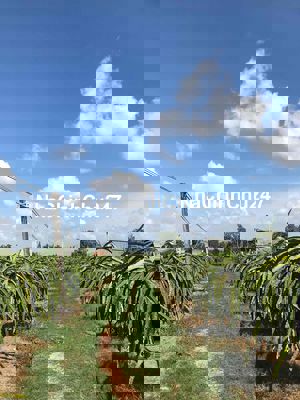 Chủ sở hữu thay đổi mô hình kinh doanh cần bán gấp.