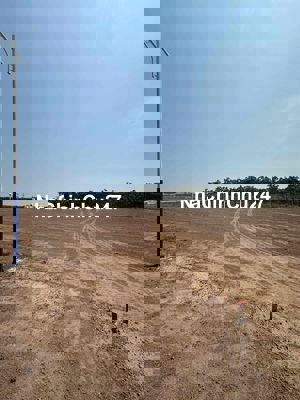 CHÍNH CHỦ BÁN LÔ MINH LẬP 250M2 FULL THỔ GIÁ 350TRIEU CÓ SỔ RIÊNG