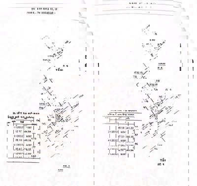 VIP nhà 2 tầng chính chủ DT 66M ngang 5M mặt tiền đường kinh doanh