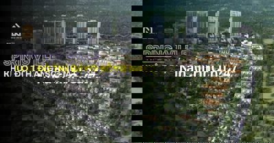 CHÍNH CHỦ BÁN NHÀ PHỐ SPRING VILLE