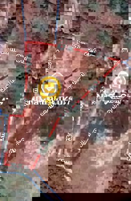 Chính chủ cần bán 1543,5m2 đất và nhà ở Tân Phước, La Gi, Bình Thuận