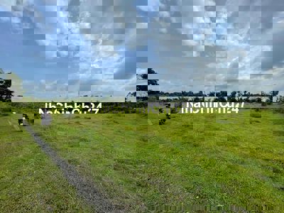 Sở hữu 2.4ha đất vườn đẹp như mơ chỉ 260tr/sào! ( Chính chủ )