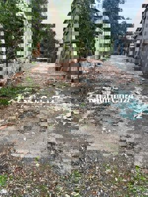 Chính Chủ Cần Bán Gấp Lô Đất Bông Trang Ngay Chợ.