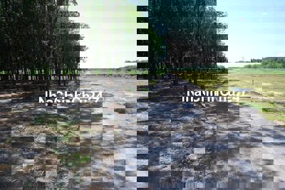 Chính chủ Bán đất vườn tại sân bay Long Thành, 39 tỷ, 11.500 m2,