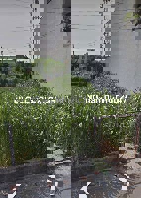 Chính chủ cần ra đi đất dt 56m2 giá 695tr Hóc Môn