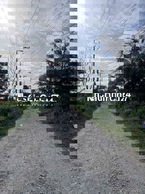 chính chủ bán nhanh trong tháng 5*30m giá chỉ 1,07ti sổ hồng riêng