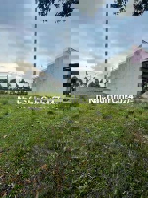 Chính chủ cần bán đất đẹp ngay gần VinHome hậu nghĩa