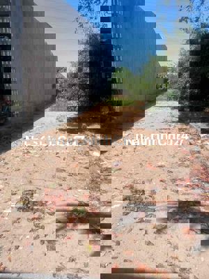 CHÍNH CHỦ BÁN GẤP LÔ ĐẤT 1/ CÁCH QUỐC LỘ 1A 100m