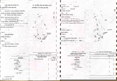 Chính chủ bán 8 xào đất trồng điều, SHR,có thể lên được 200m thổ cư