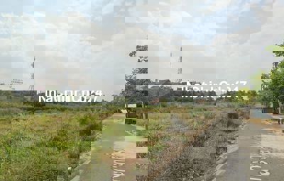 CHỦ KẸT TIỀN !! BÁN GẤP LÔ ĐẤT LONG CANG FULL THỔ CƯ 100M2. SHR