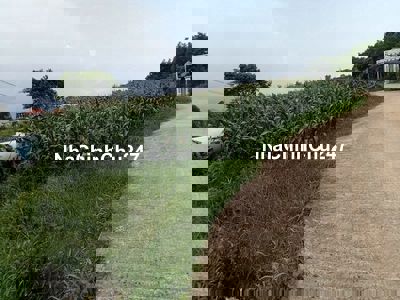 Chính chủ bán lô đất 1.200m2, 60m mặt tiền đường nhựa, gần Sông Ray.