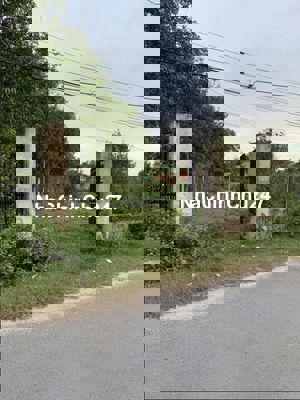 CHÍNH CHỦ GỬI 585M2/430TR BÙI THANH VÂN - TRẢNG BÀNG - SỔ HỒNG RIÊNG