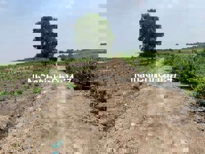 1 lộ *** chủ ngộp bán gấp