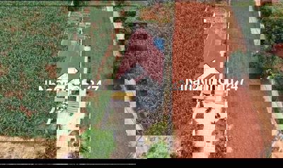 👉Chính chủ chuyển nhà gửi bán 500m² nhà vườn tại Nam Hà Nam Ban Lâm Hà