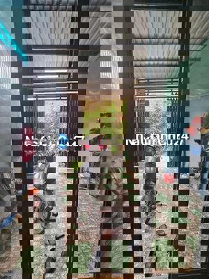 - CHỦ KẸT CỨNG NGẮC. GIÁ CHƯA TỚI 3 TỶ