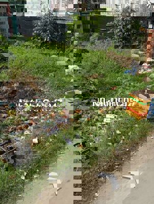 Chính chủ bán gấp lô đất dt 67,5m2 giá 595tr Bình Chánh