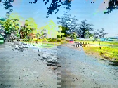 bán đất chính chủ