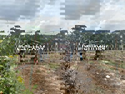 Chính chủ cần bán lô đất vườn giá rẻ để lấy vốn làm ăn