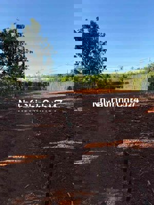 Chính chủ cần bán đất Hồ Tràm TPHCM đầy đủ giấy tờ thổ cư