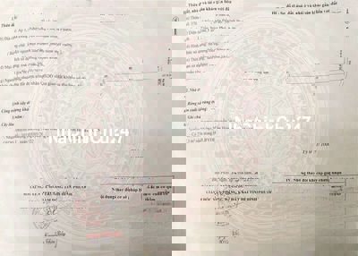 Đất chính chủ, ngộp cần bán 1160m²