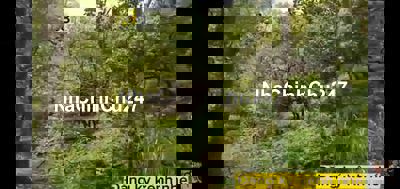 Đất chính chủ ngay khu du lịch Dray sáp