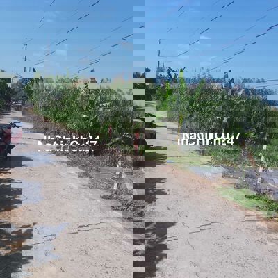 bán đất thổ cư chính chủ