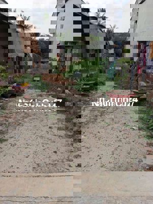 Bán đất chính chủ