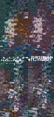 Đất vườn có 300m2 THỔ CƯ CHÍNH CHỦ