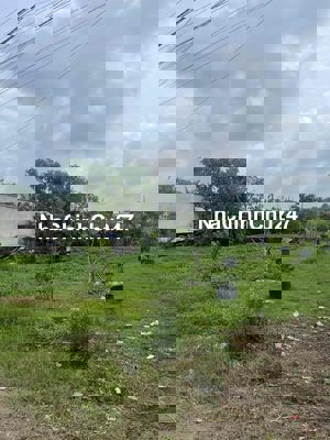 Chính chủ cần bán gấp lô đất ngay trường học hậu nghĩa,xây dựng tự đo