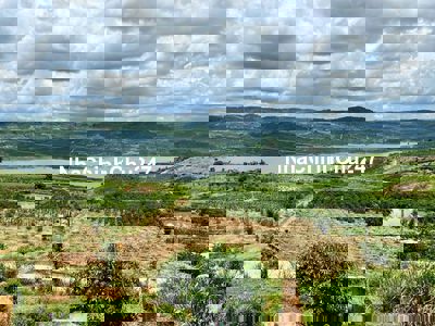 HOTT!!CHỦ CẦN BÁN LÔ ĐẤT GIÁP SÔNG  CÓ THỔ CƯ  VIEW GIÁ CHỈ 550TR/SÀO