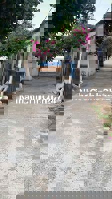 Chính Chủ Bán Nhà Sát Biển Khu Phú Thọ 1, Đông Hòa, Phú Yên