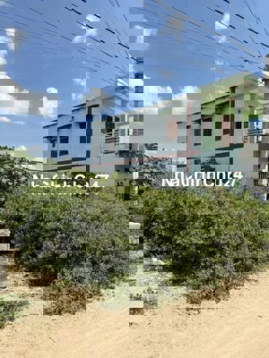 Bán đất nền chính chủ tại Khu phố 15, TT. Phước Dân, Ninh Thuận