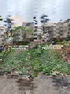 🔥 CHÍNH CHỦ BÁN ĐẤT THÔN 3 – VẠN PHÚC, NAM PHÙ 📐 Diện tích: 50m² thổ c