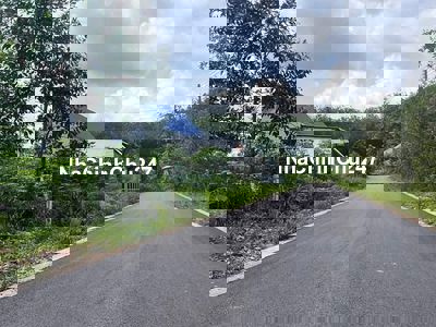 Chủ ngộp nặng cần bán gấp 2 lô liền kề 235m2 có 100tc giá chỉ 4xxtr