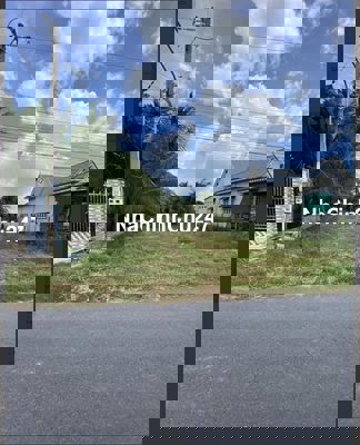 MẶT TIỀN ĐƯỜNG GIA TÂN NHỰA LỚN 350TR FULL THỔ CƯ SỔ RIÊNG CHỦ NGỘP