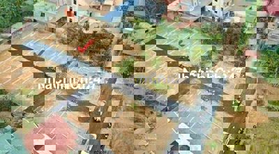 Chính chủ cần bán nhanh 2,7 tỷ mảnh đất ở Hạ Bằng gần đh FPT