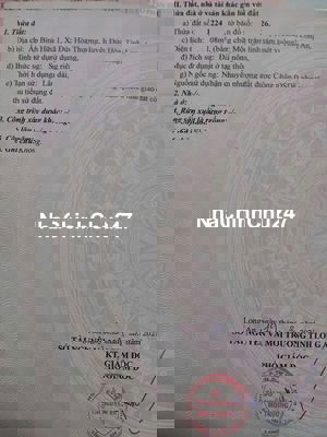 CHÍNH CHỦ CẦN BÁN 2 THỬA ĐẤT LIỀN KỀ – ĐƯỜNG 4M –ĐỨC HÒA, LONG AN