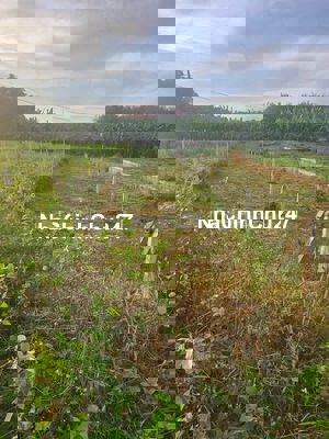 CHÍNH CHỦ CẦN BÁN GẤP MẶT TIỀN TRUNG AN, CỦ CHI - GIẢM 500TR BÁN NHANH