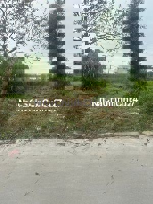 Chính chủ bán lô đất phường Tân An mới, cách tỉnh lộ 827A (500m)