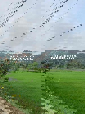 Chính Chủ cần bán lô đất mặt tiền nhựa full thổ cư