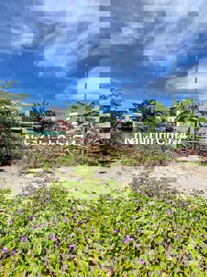 CHÍNH CHỦ CẦN BÁN ĐẤT KIỆT LƯU QUANG VŨ GIÁ THẤP NHẤT THỊ TRƯỜNG