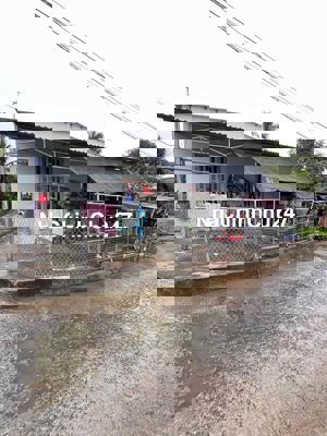 Chính Chủ Bán Gấp Nhà Bình Chánh 330.6m2