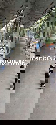 🔥Chủ ngộp nợ rao bán trọ 10phòng ở Tân Thông Hội, Củ Chi chỉ hơn 1 tỷ