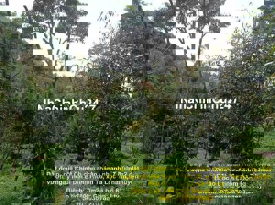 Chính chủ bán nhanh 7800m2 đất vườn ngay núi Đại Bình Bảo Lộc,Lâm Đồng