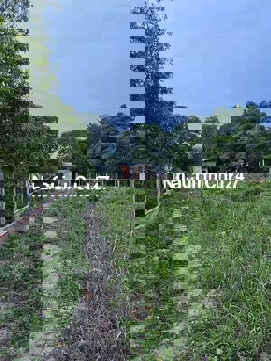 BÁN ĐẤT CHÍNH CHỦ THỔ CƯ MẶT TIỀN BÀU LÁCH(VÀNH ĐAI 4)CỦ CHI GIÁ 15 TỶ