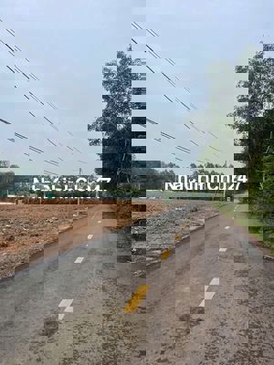 Chủ cần bán 16 mẫu đất cao su mặt tiền liên tỉnh, 750m giáp đường