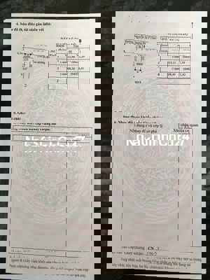 CHÍNH CHỦ bán nền MT đường Nguyễn Quang Đại 125m2, Cần Đước, Long An