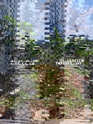 💥 CHÍNH CHỦ CẦN BÁN NHÀ VÀ ĐẤT CÓ SỔ HỒNG RIÊNG - GIÁ TỐT ĐỂ Ở HOẶC ĐẦ