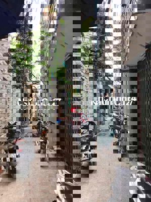 Chủ Ngộp Giảm Sâu, 1 xẹc Văn Thân, Thích Hợp cho 4 người ở